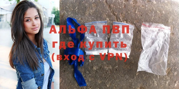 МДПВ Дмитриев