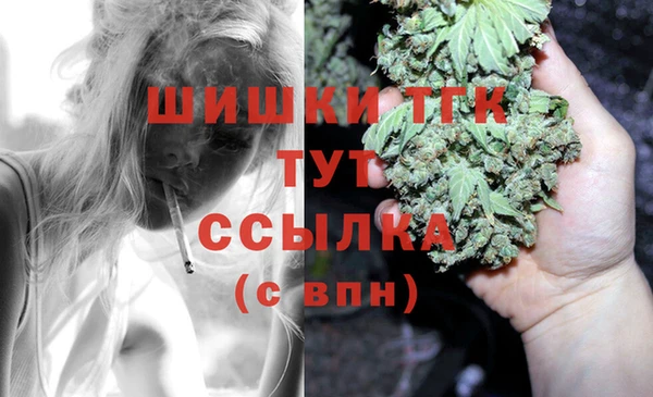 крисы Гусев
