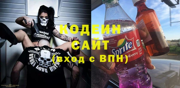 крисы Гусев