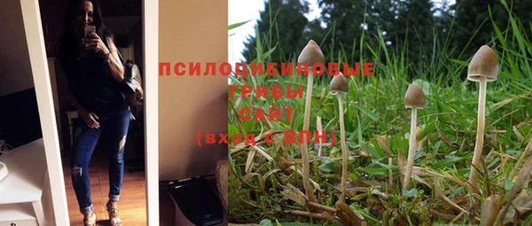 каннабис Дмитров