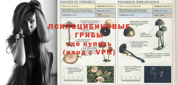 крисы Гусев