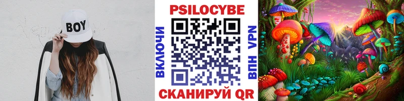 OMG сайт  Верещагино  Псилоцибиновые грибы мицелий 